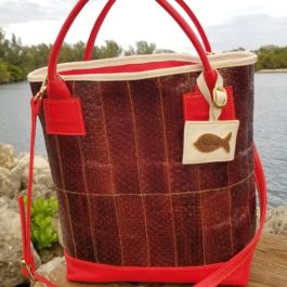 Brown Leather Bag with Red Top Handles